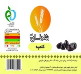 Granted, dealers, products, company شادنان desert, Kerman, Iran