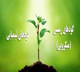 کود های ماکرو ، کودهای میکرو ، کودهای محلول پاشی ، سمپاشی ، بذر ، بازدید رایگان