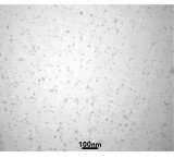 Colloidal solution of silver nanoparticles