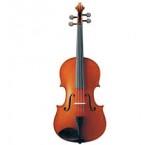 Types of violins and accessories with excellent price and quality