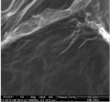 Nano Graphene Oxide Sales of Nano Graphene Oxide