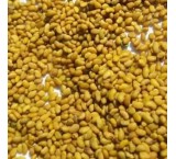 نگین بذر تربیت