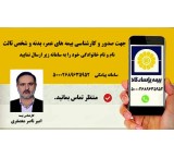 Pasargad Life Insurance and Atieh Insurance