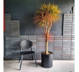 گلدان فایبر گلاس