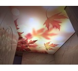 فروش و اجرای انواع سقف کشسان لابل با 12 سال گارانتی تعویض !!