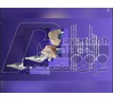 Salt consumption in Iran