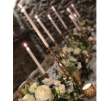 تشریفات مجالس/مراسم عروسی/باغ تالار