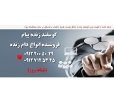 فروش گوسفند زنده