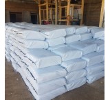 ذرت علوفه ای