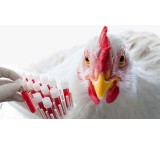 Sales of disinfectants for the treatment of bird flu