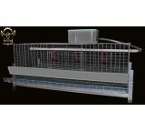 Homemade quail cage, experience quail breeding at home