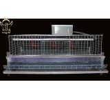 Home partridge cage, experience partridge breeding at home