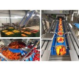 Fodigid Food Subfencious Disinfectant Disinfectant