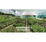 توری سایبان گلخانه