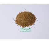 American Ranger alfalfa seed