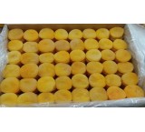 قیسی زردآلو درجه یک