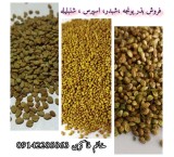 Export of alfalfa seeds, sale of alfalfa seeds and other fodder seeds