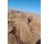 Sale of sweepers or municipal sweepers