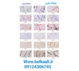 اجرا کننده وفروش بلکا پتینه