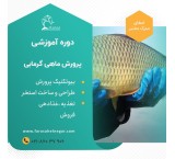 دوره آموزشی ماهی گرمابی
