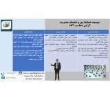 موسسه حسابداری و خدمات مدیریت
