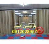 پارتیشن متحرک ریلی