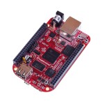 بورد بیگل بون