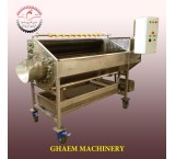 Onion washing and peeling machine