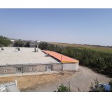 Sale of mushroom farming complex