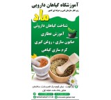 Mad School of Medicinal Plants