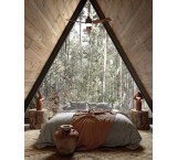 کلبه چوبی کلبه سوئیسی