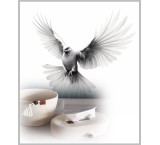 ❤️سبد لاندری قیطان دوزی✨