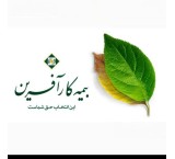 بیمه کارافرین