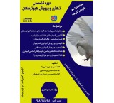 Topic: training long distance pigeons