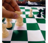 Chess training by the coach of the federation and the former champion of the province