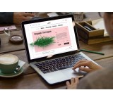 طراحي تخصصي انواع سايت‌ها