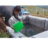 Wood vinegar, liquid smoke, acetic acid