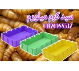 Buying and selling mystery basket, saffron and industrial basket