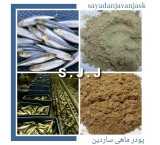 Sardin fish powder