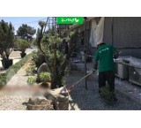 Urban Green Space Design Services