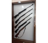 Weapons and authorized hunting