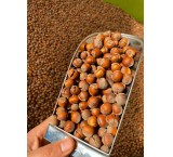 فندق تازه امساله خام قیمت رقابتی