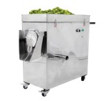 Hirad brand lemon juice