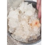 جشنواره تابستانه هیدروژل کشاورزی؛ فرصتی ویژه برای صرفه‌جویی در آب و هزینه‌ها