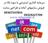 سرمایه گذاری با سود بالا در شغل پرسود اینترنتی