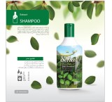 شامپو صدر صحت