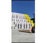 Used Plastic Pallet