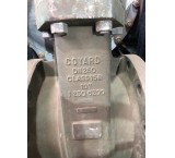 10 -inch Coyard - Gate Valve Class 150
