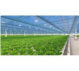 إنتاج الدفیئات المهنیة