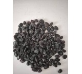 فروش مویز بدون هسته افغانستان لوکس و درجه یک